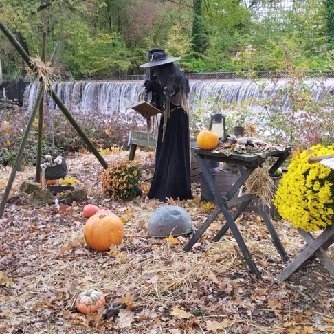 Walygator Grand Est fête Walloween