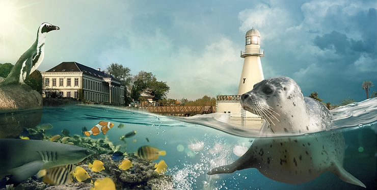 image 20 - Actualité des Parcs d'attractions - Parcs Actus