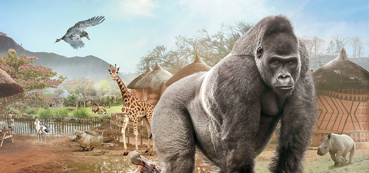 image 21 - Actualité des Parcs d'attractions - Parcs Actus