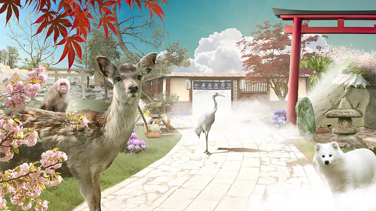 image 23 - Actualité des Parcs d'attractions - Parcs Actus