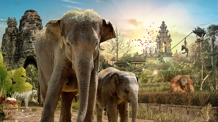 image 24 - Actualité des Parcs d'attractions - Parcs Actus