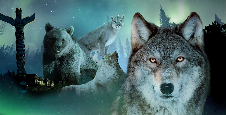 image 26 - Actualité des Parcs d'attractions - Parcs Actus