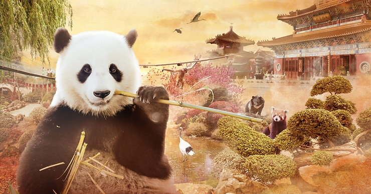 image 27 - Actualité des Parcs d'attractions - Parcs Actus