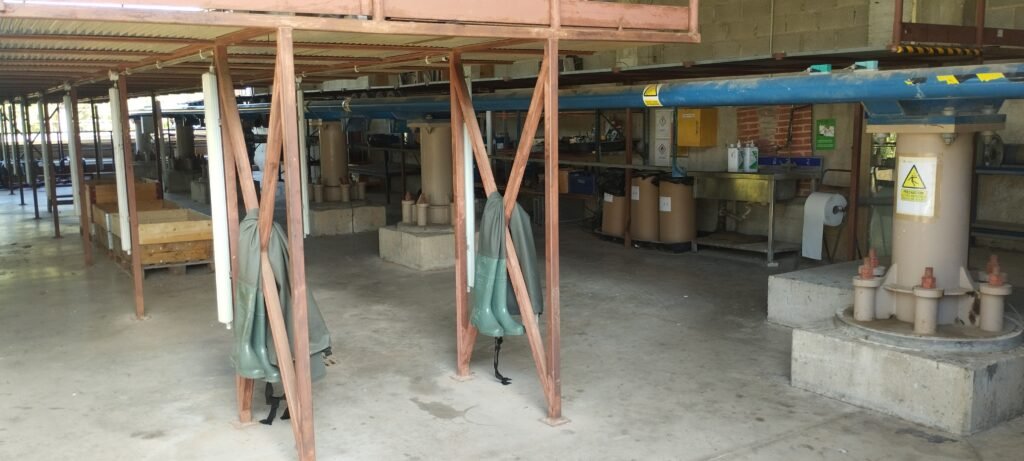 Coulisses - Parcs Actus Coulisses : Visite avec Intamin chez PortAventura