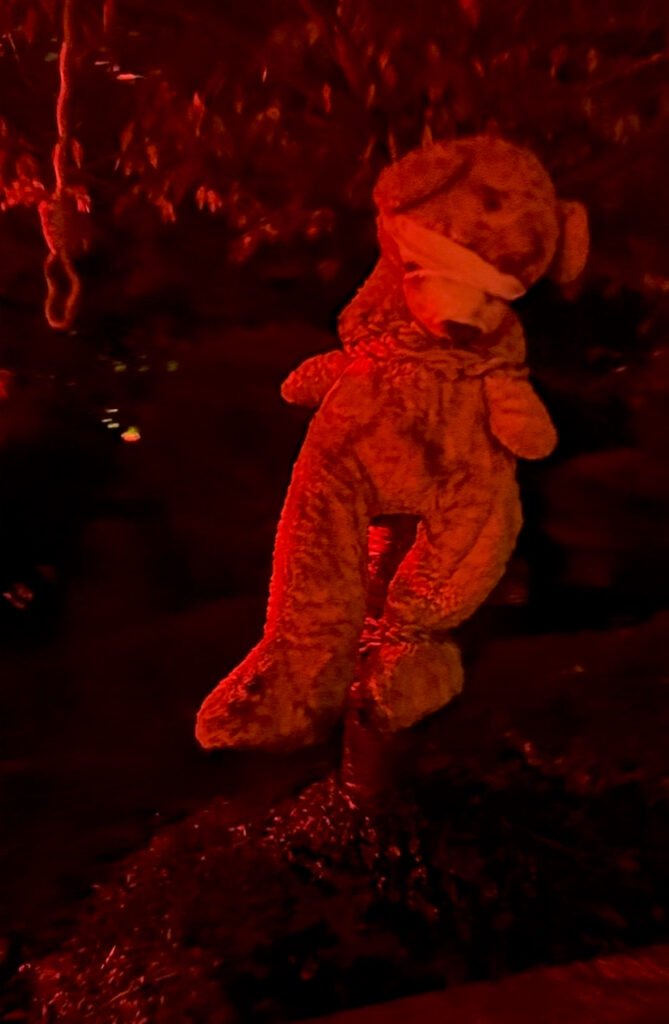 IMG 3281 - Actualité des Parcs d'attractions - Parcs Actus