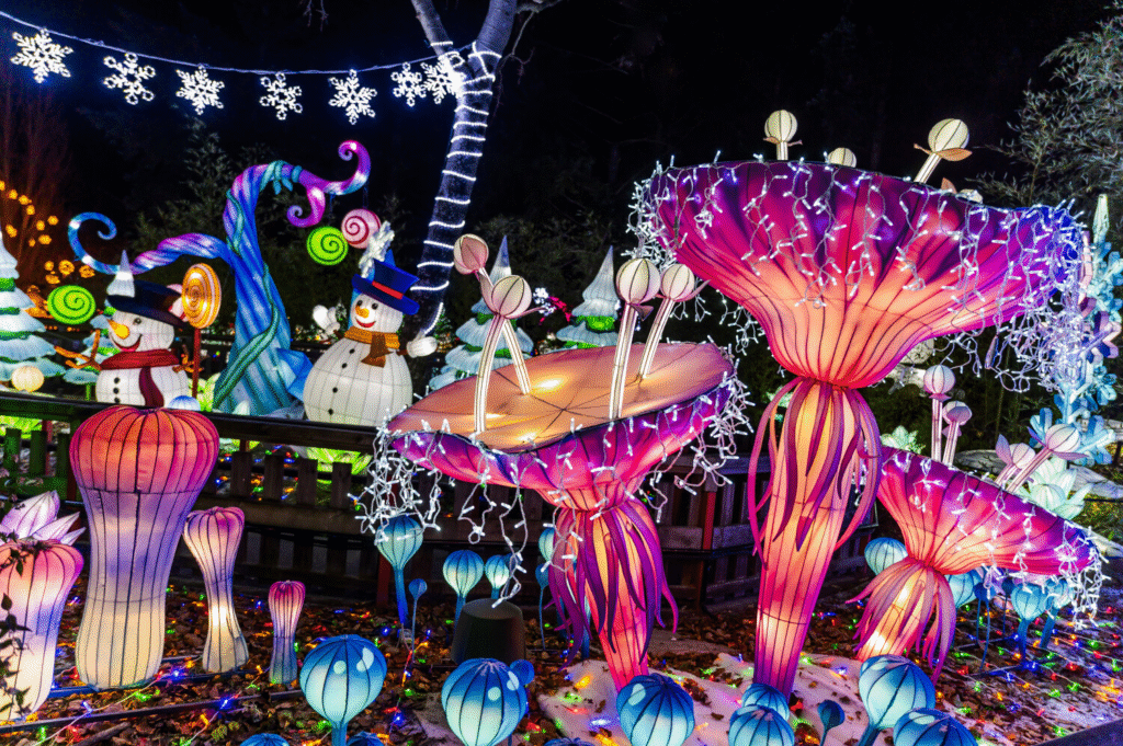 image 5 - Actualité des Parcs d'attractions - Parcs Actus