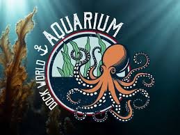 images 1 - Actualité des Parcs d'attractions - Parcs Actus