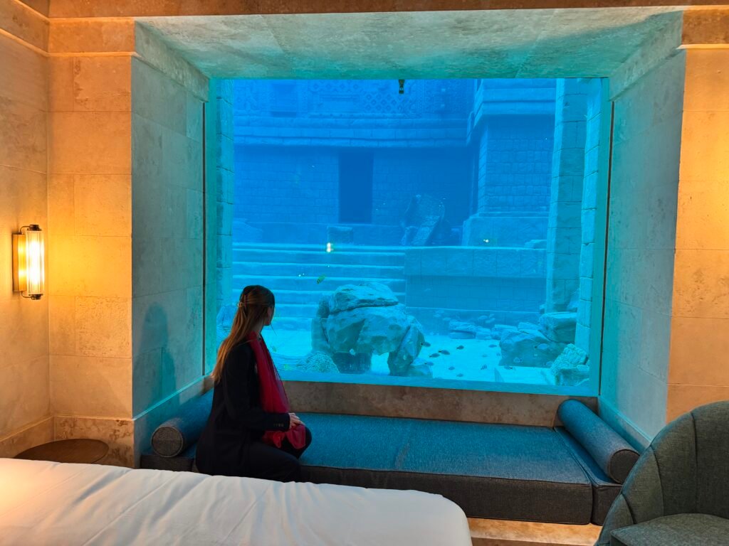 IMG 6593 - Actualité des Parcs d'attractions - Parcs Actus