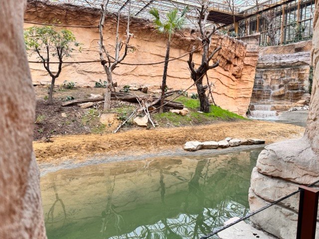 IMG 6623 Moyenne - Actualité des Parcs d'attractions - Parcs Actus