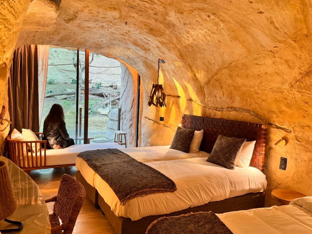 IMG 6629 2 1 - Actualité des Parcs d'attractions - Parcs Actus