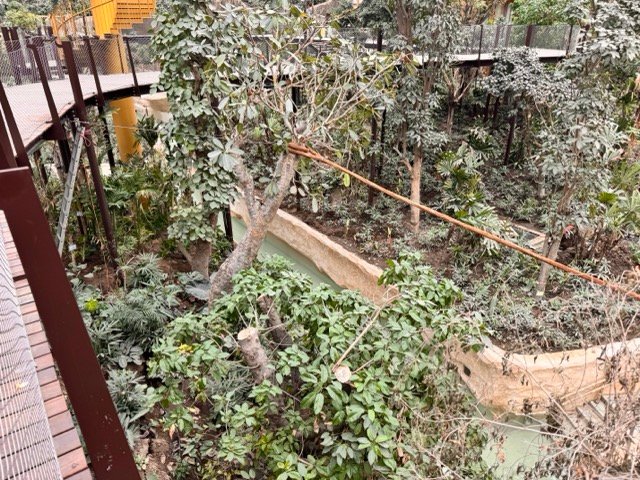 IMG 6706 Moyenne - Actualité des Parcs d'attractions - Parcs Actus