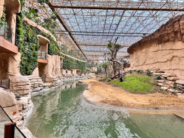 IMG 6773 2 Moyenne - Actualité des Parcs d'attractions - Parcs Actus