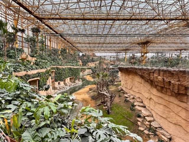 IMG 6775 Moyenne - Actualité des Parcs d'attractions - Parcs Actus