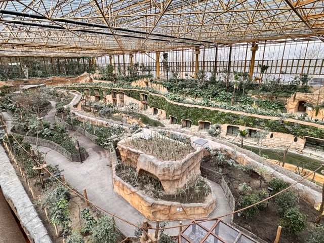 IMG 6793 Moyenne - Actualité des Parcs d'attractions - Parcs Actus