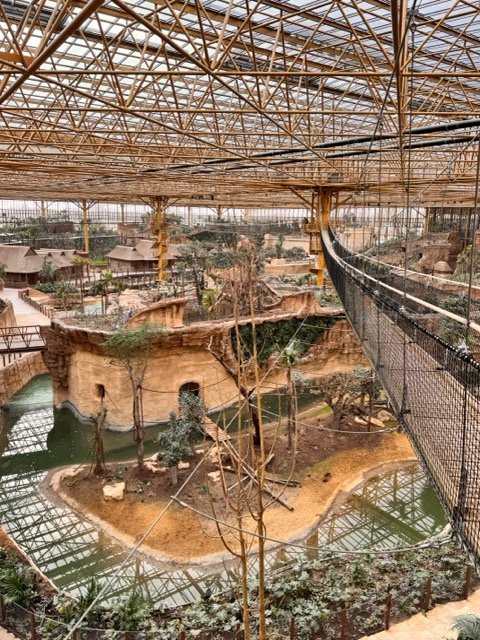 IMG 6806 Moyenne - Actualité des Parcs d'attractions - Parcs Actus