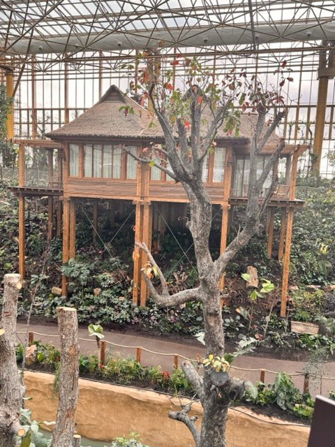 IMG 6829 Moyenne - Actualité des Parcs d'attractions - Parcs Actus