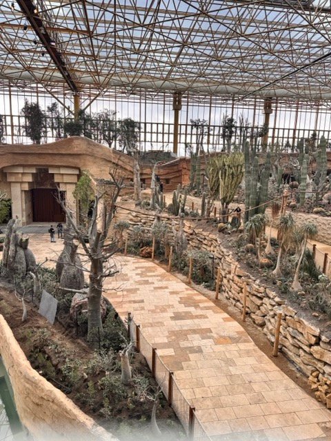 IMG 6833 Moyenne - Actualité des Parcs d'attractions - Parcs Actus