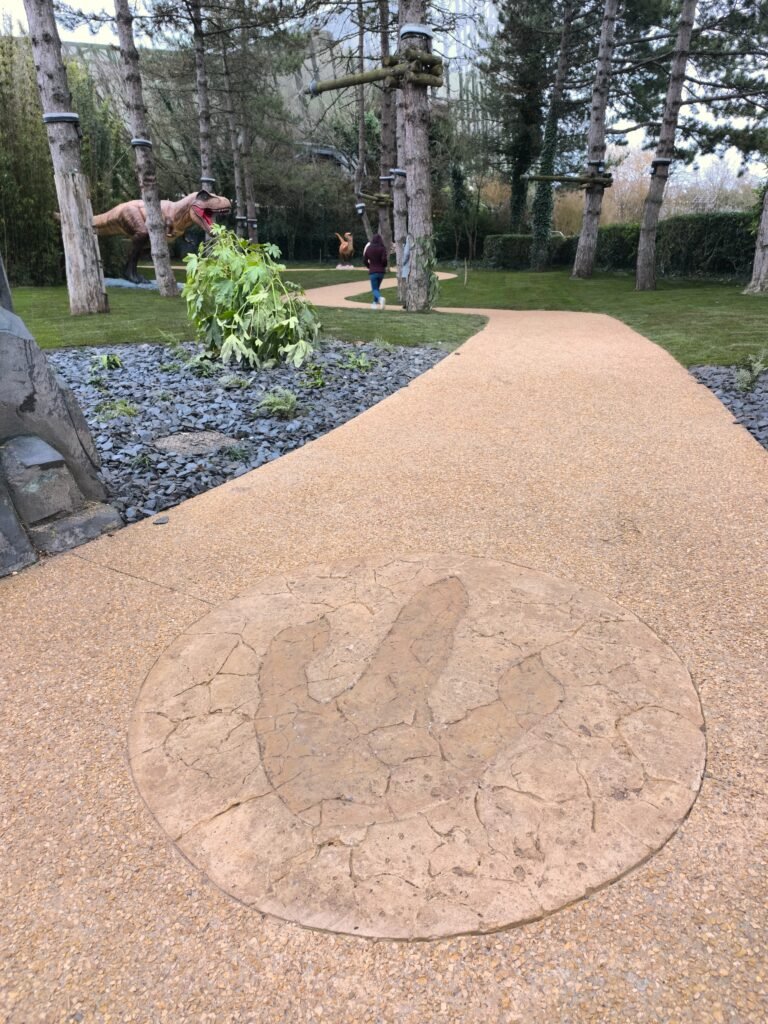 T Rex empreinte - Actualité des Parcs d'attractions - Parcs Actus