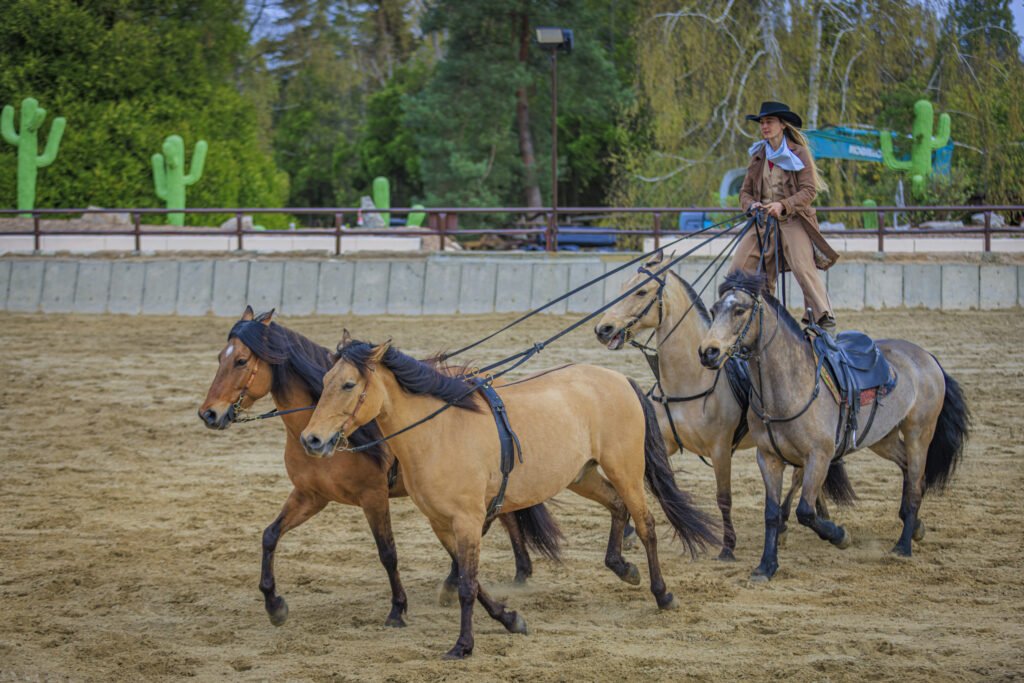 Nouveauté 2026 - Parcs Actus MDS 31032026 0487 Low - Actualité des Parcs d'attractions - Parcs Actus