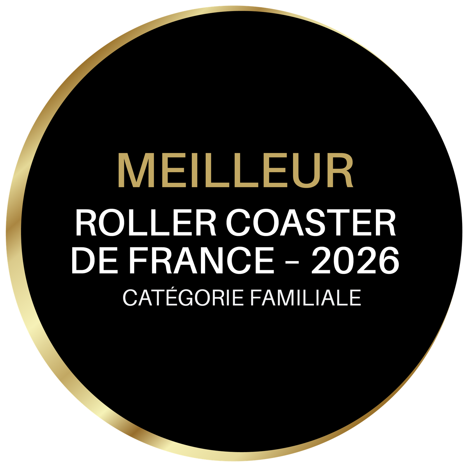 Meilleur roller coaster de France