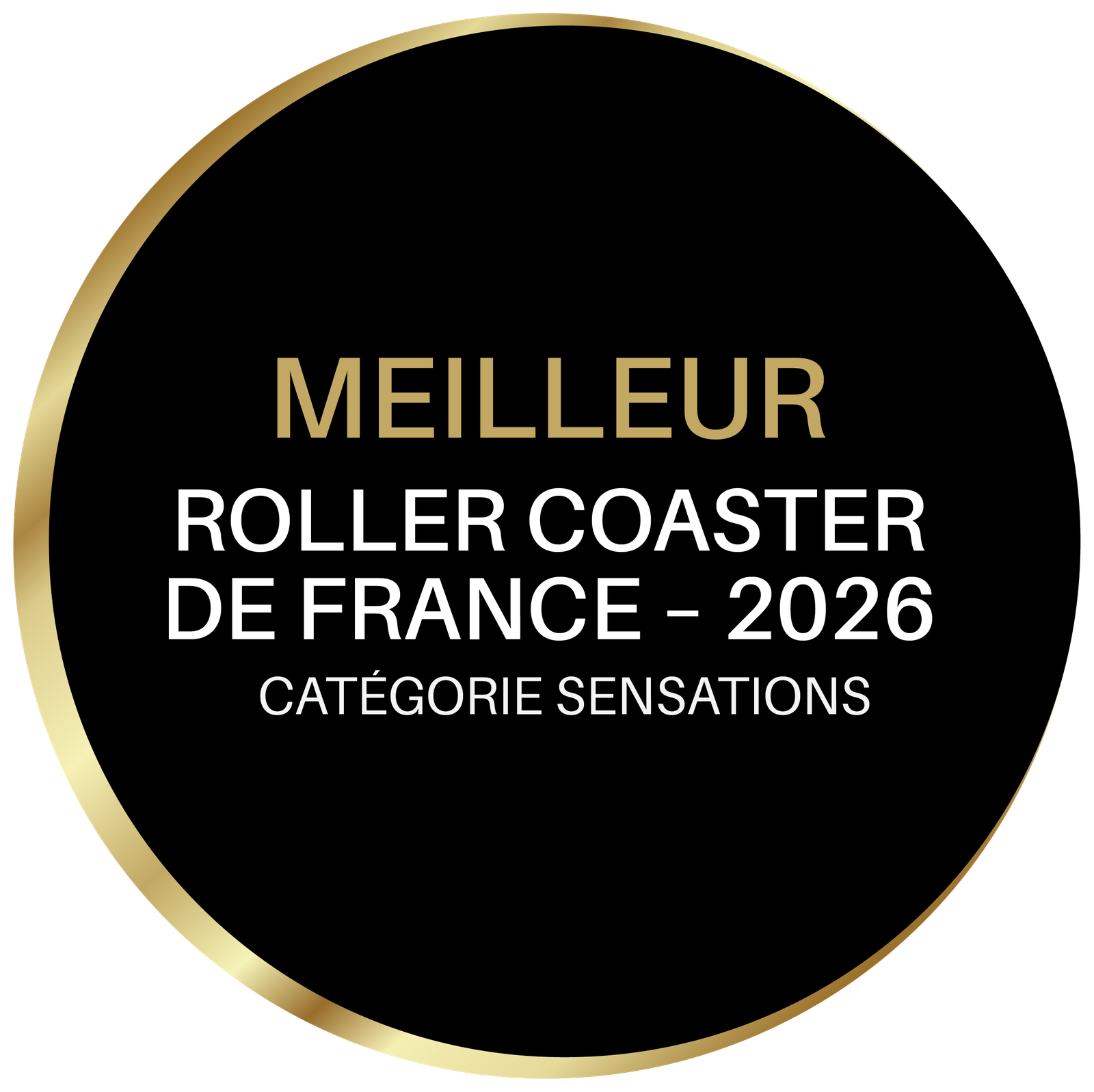 Meilleur roller coaster de France